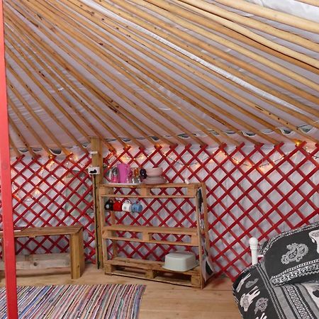 Готель Alder Yurt Wych Elm Glamping Гелстон Екстер'єр фото