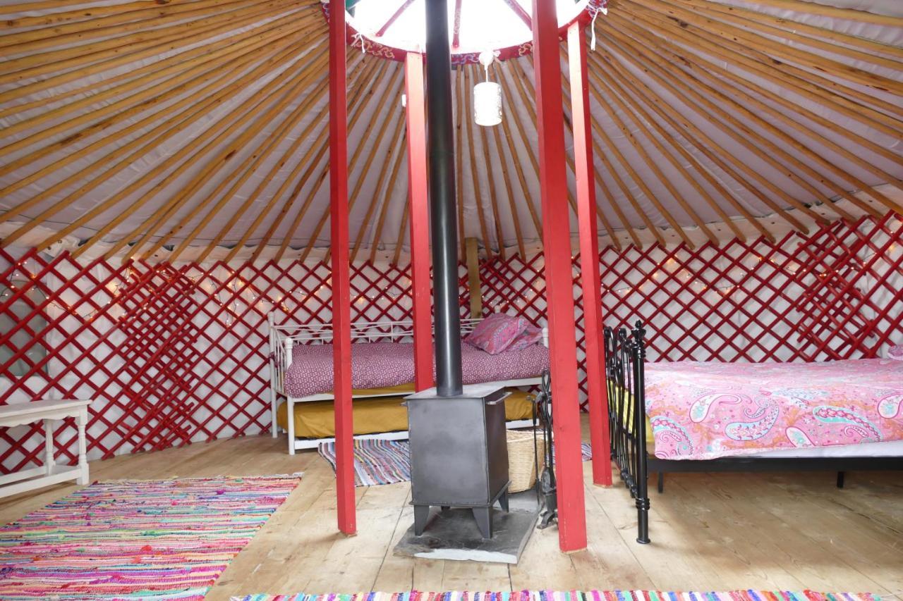 Готель Alder Yurt Wych Elm Glamping Гелстон Екстер'єр фото